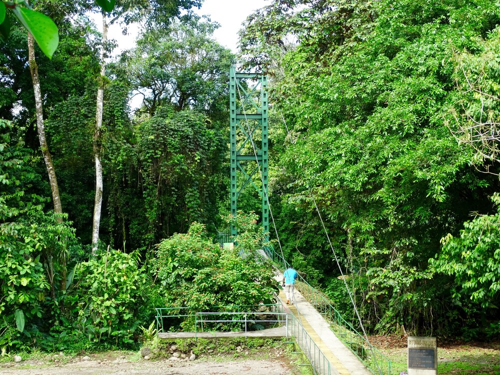 La Selva Biological Station 46/50
