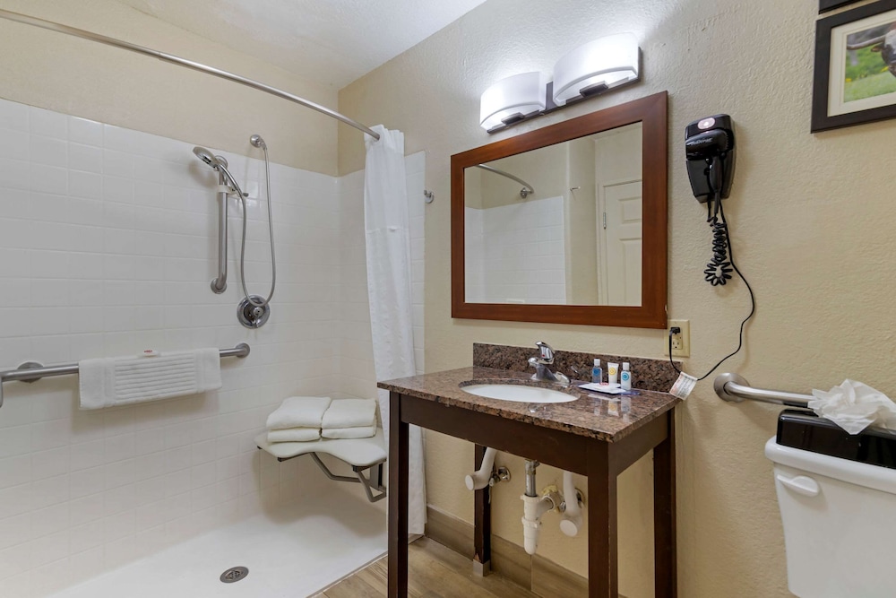 Comfort Inn & Suites Near Six Flags & Medical Center 21/36