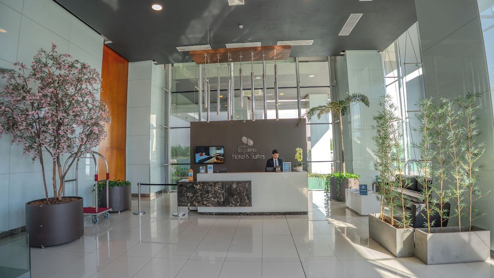 Paseo La Galeria Hotel & Suites 6/49