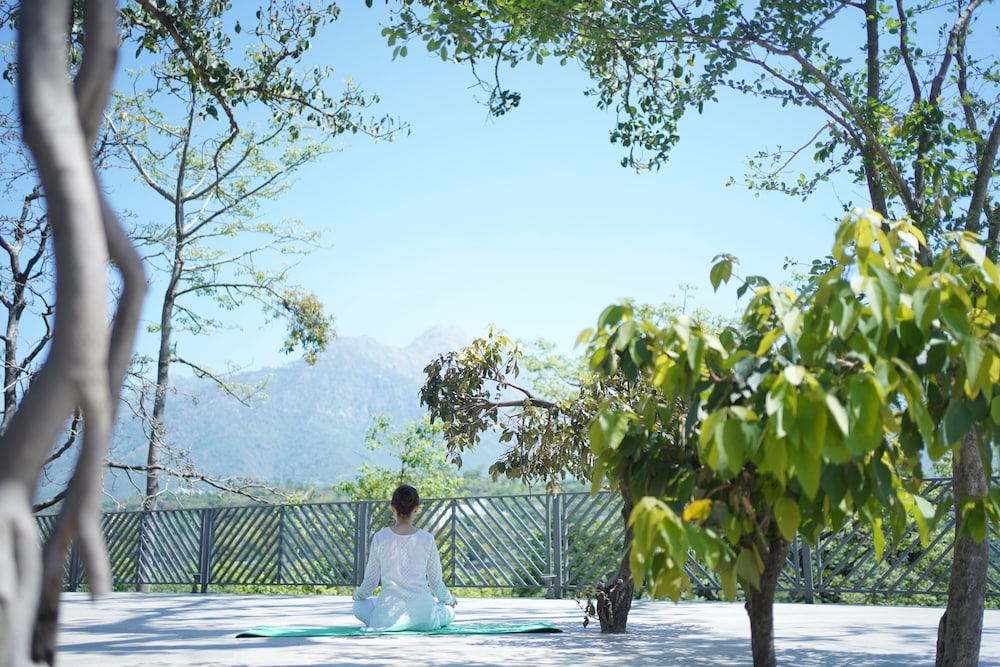 Katra Marriott Resort & Spa 39/50
