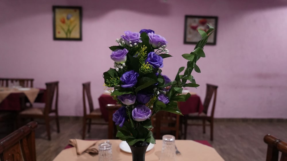 Nature Bloom Hotel And Resort 26/50