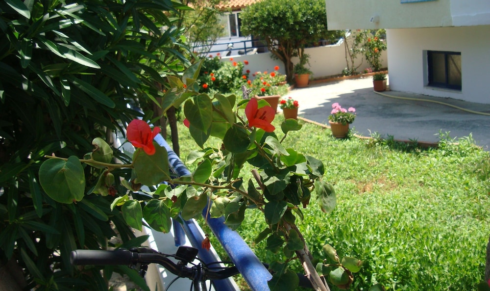 Philippos Studios And Apartments 38/49