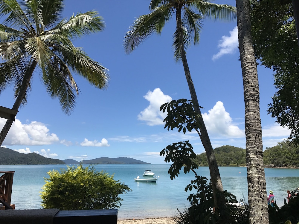 Palm Bay Resort (Adults Only 16+) 88/93