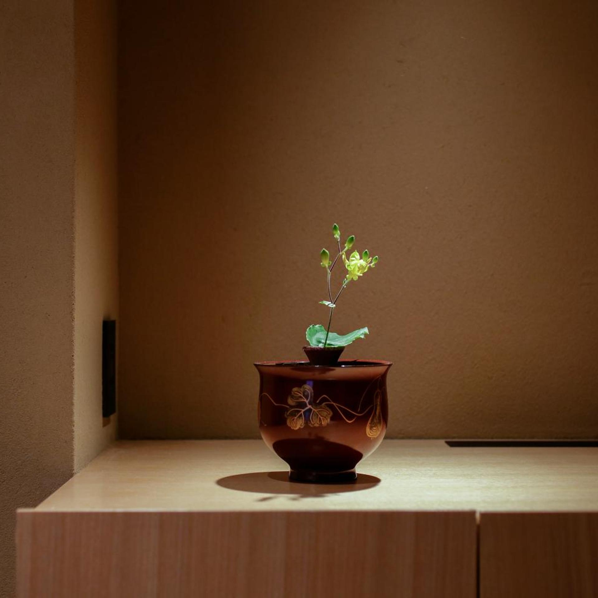 Hotel Kaminarimon 12/50
