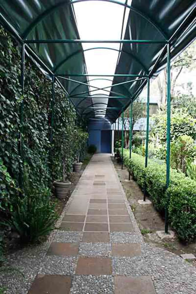 Pedregal Palace 61/63