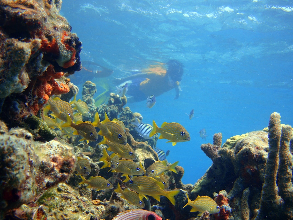 SAN PEDRO DE MAJAGUA photo5
