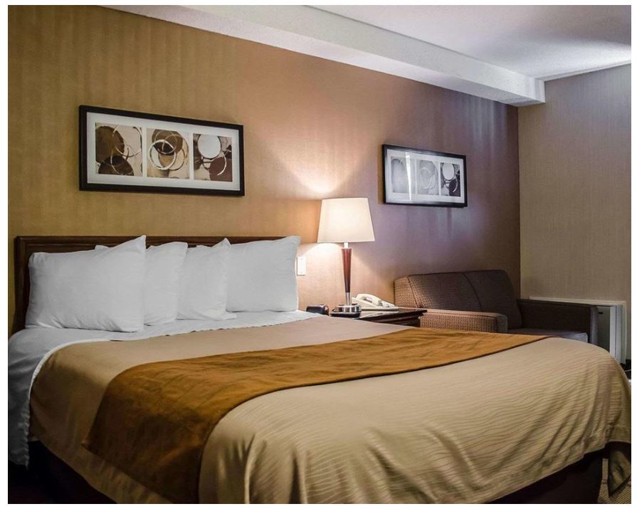 Room, Queen Bed