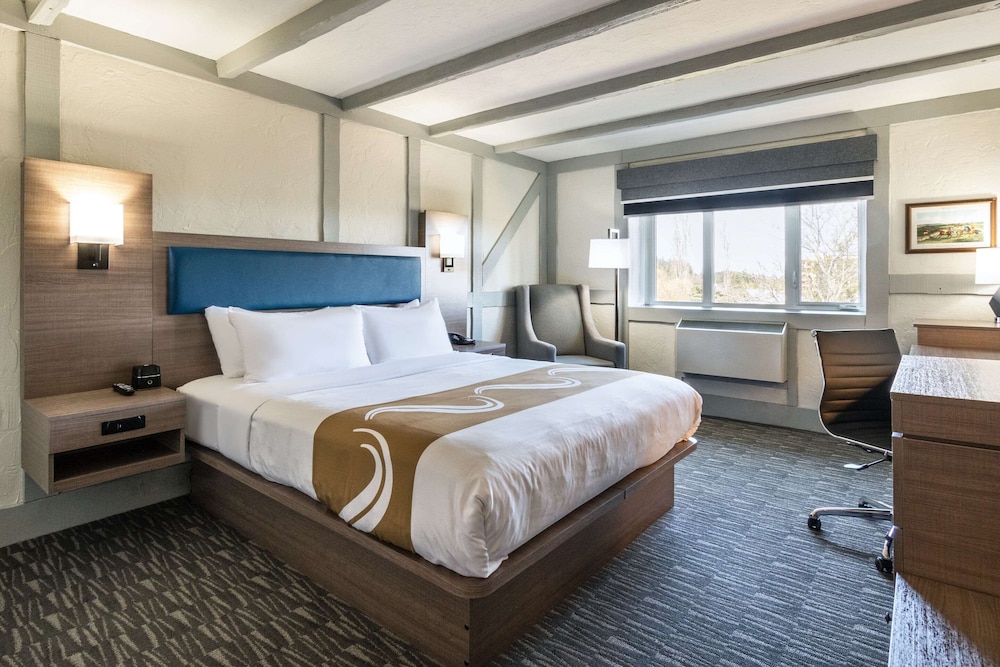 Upgrade, King Bed