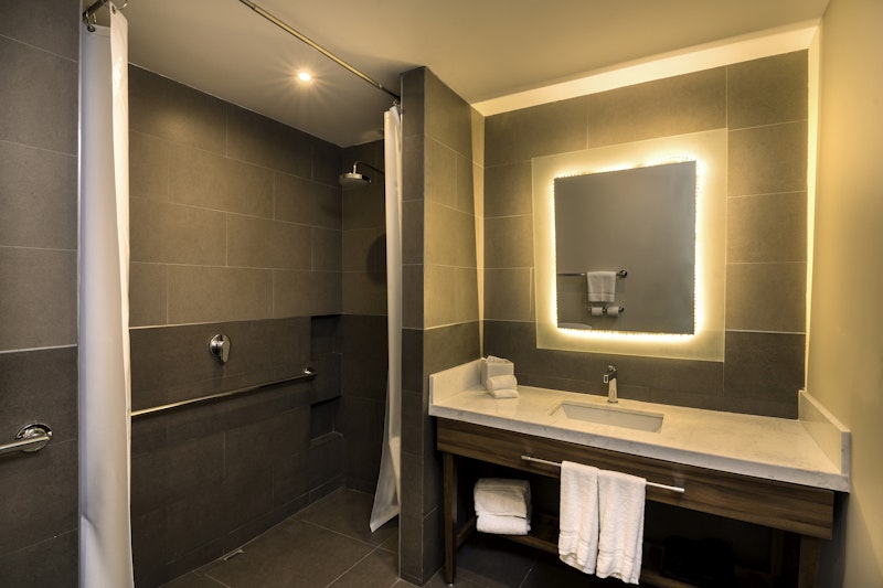 Hilton Garden Inn Aguascalientes 19/19