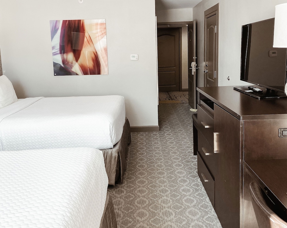 Crowne Plaza Chicago Sw Burr Ridge 19/59