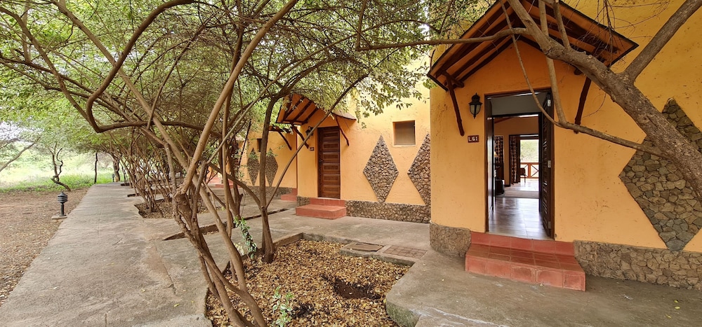 Kilima Safari Camp 21/49