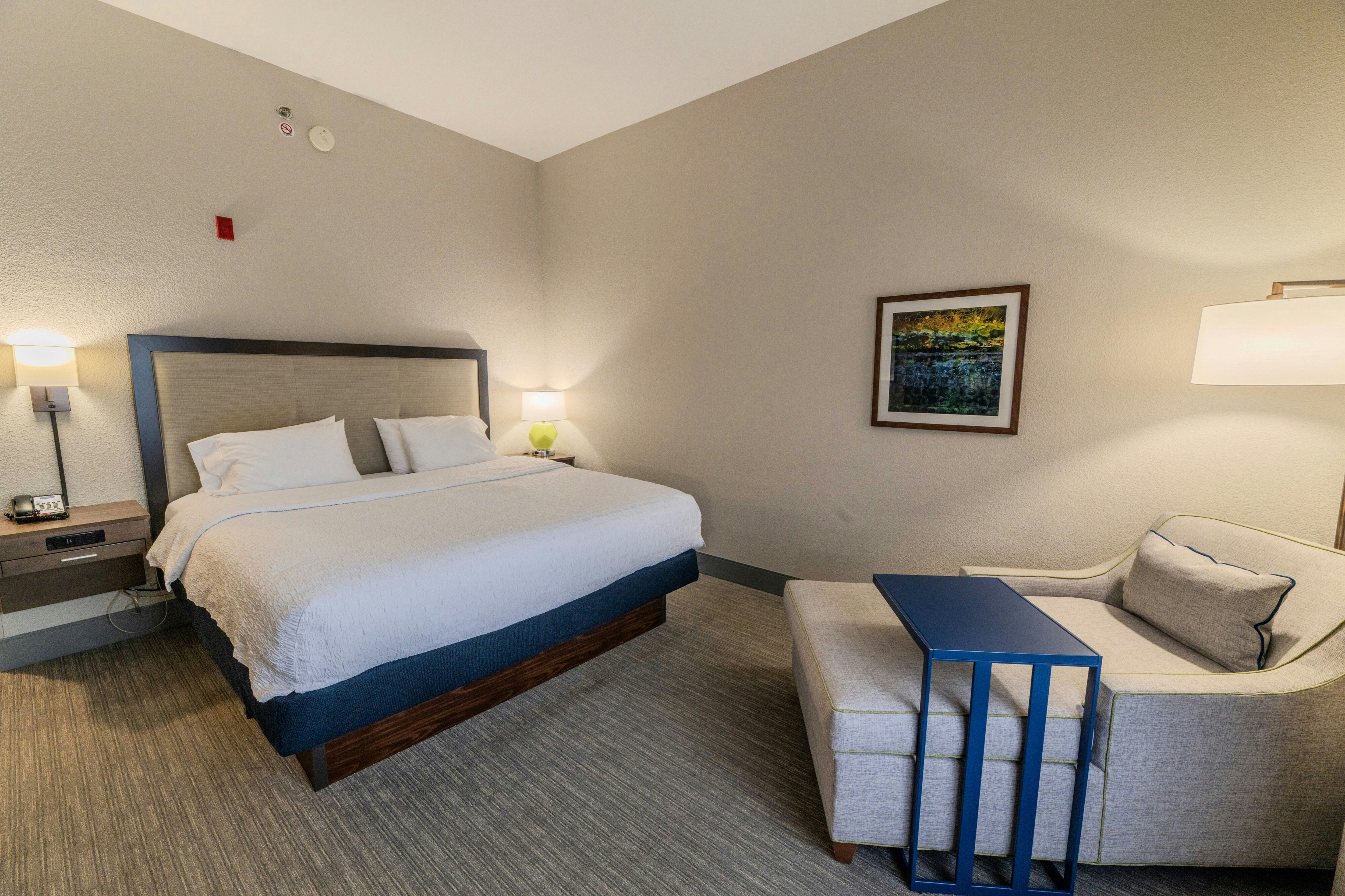 Room, King Bed