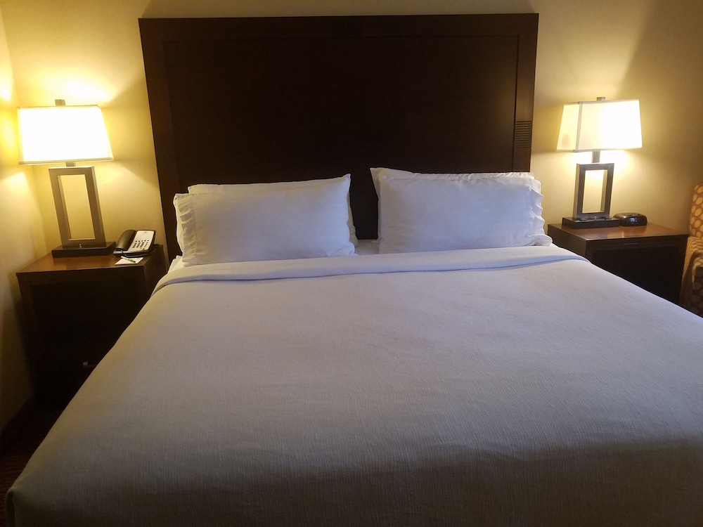 Holiday Inn Friso by IHG 17/68