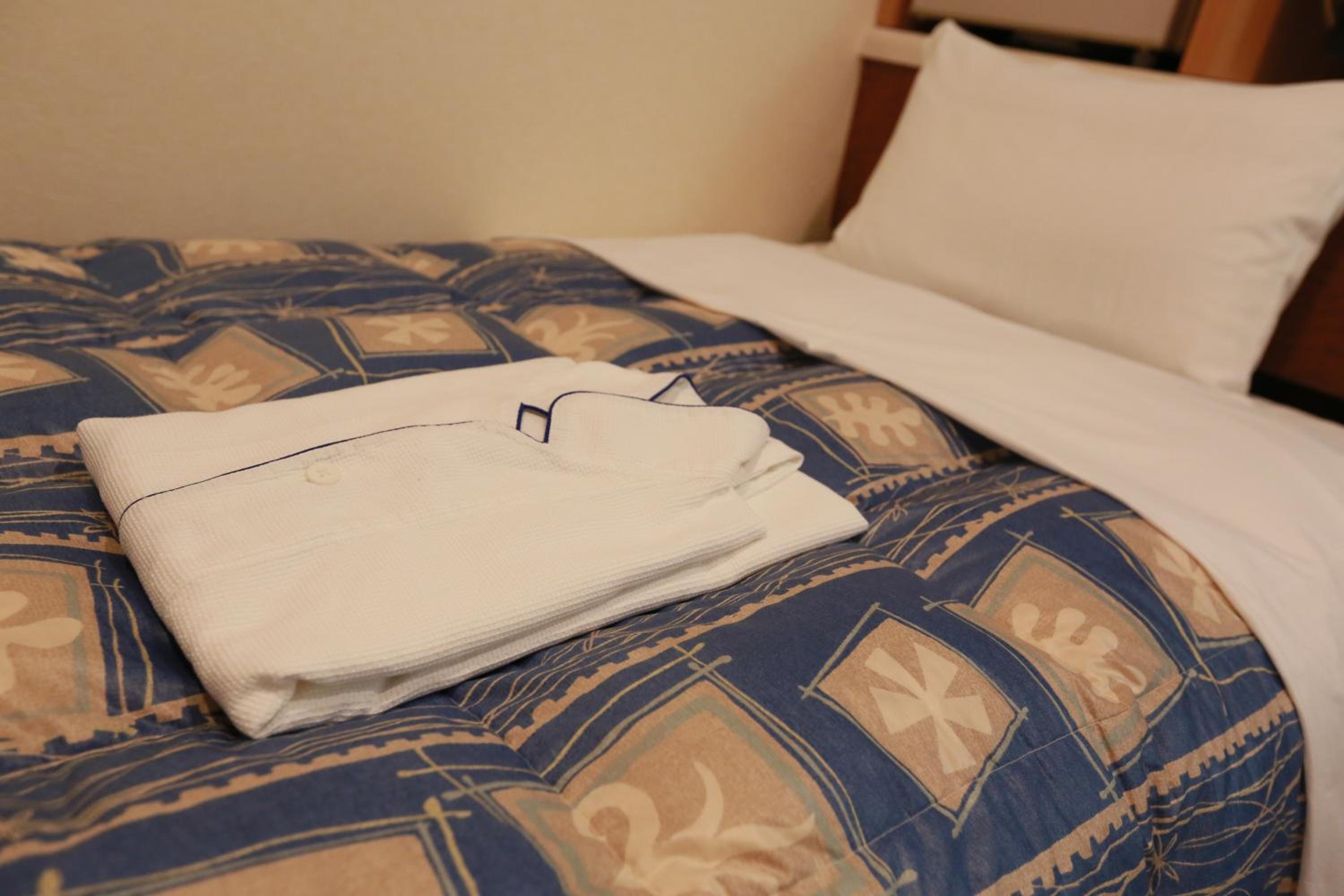 Hotel Ikeda 31/50
