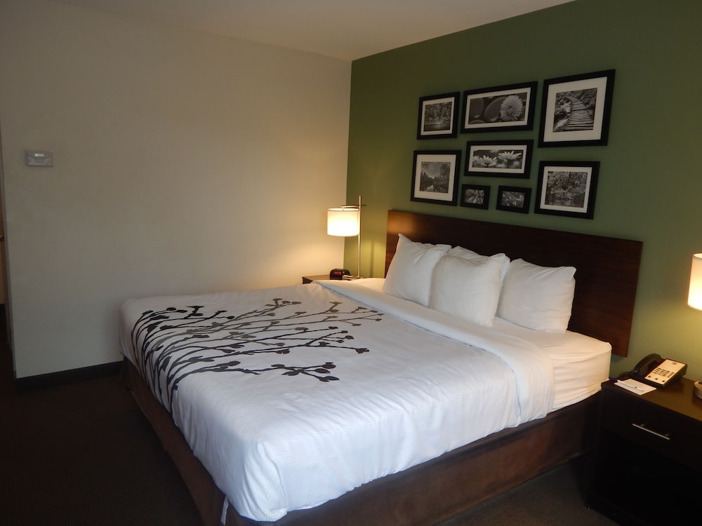 Standard, King Bed