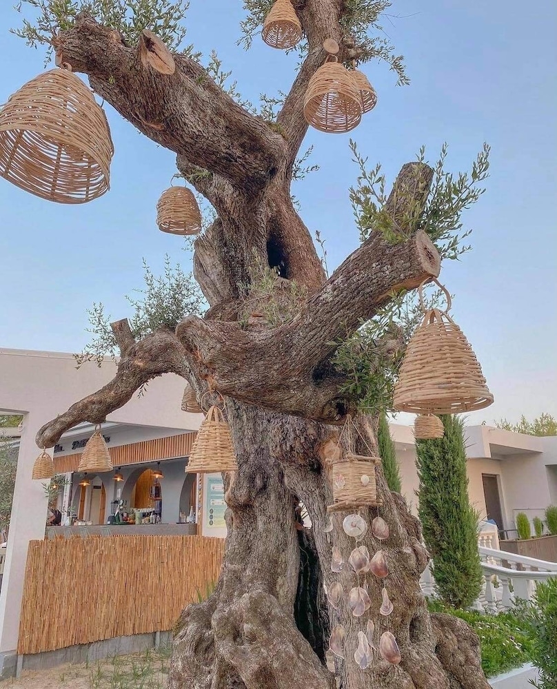 Venus Resort 32/40