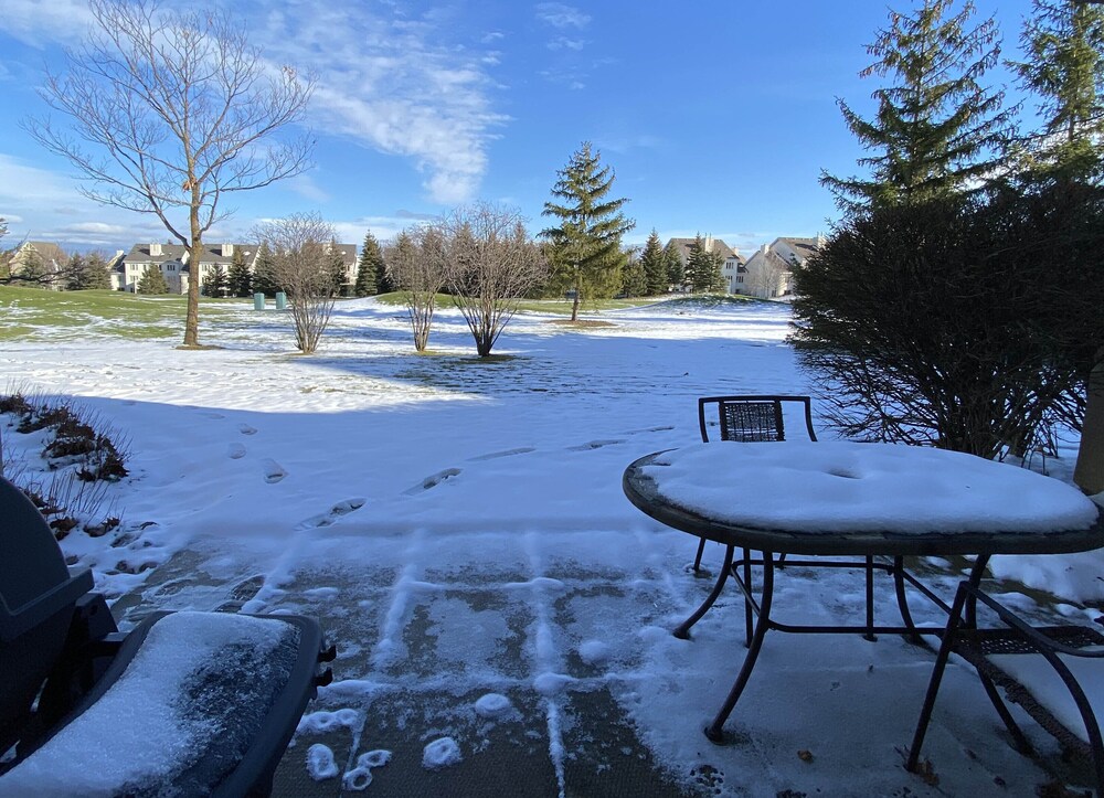 The Lodges At Blue Mountain Wintergreen Condos 25/48
