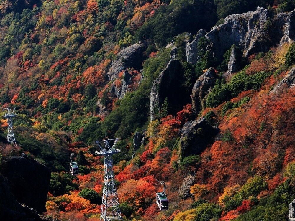 HOTEL GREEN PLAZA SHODOSHIMA 54/60