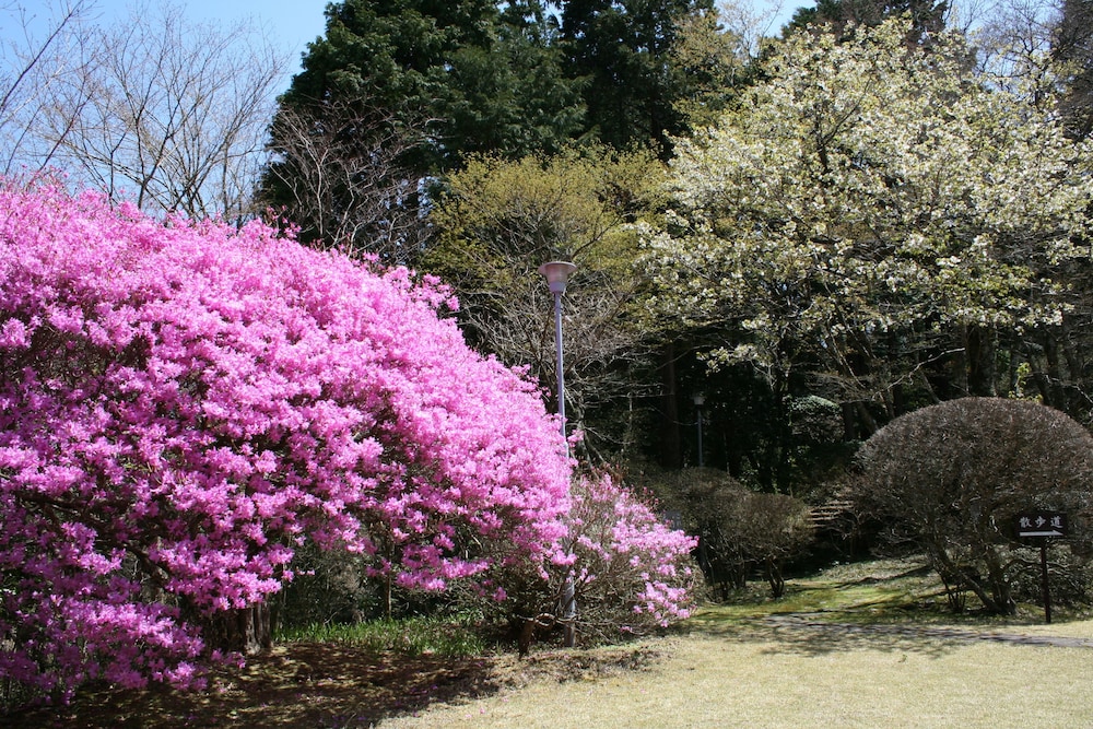 Senkyoro Ryokan 35/40