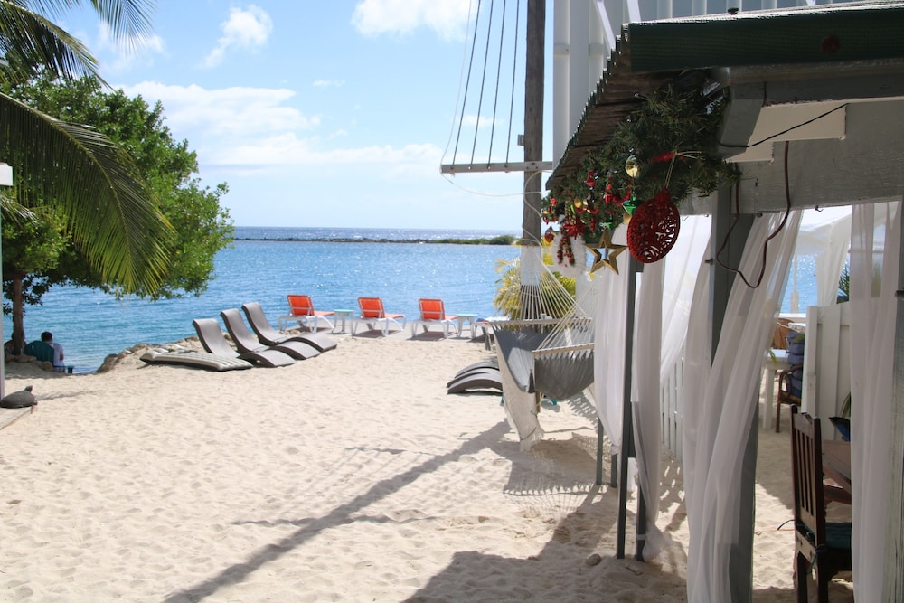 Coral Reef Beach Aruba 42/50