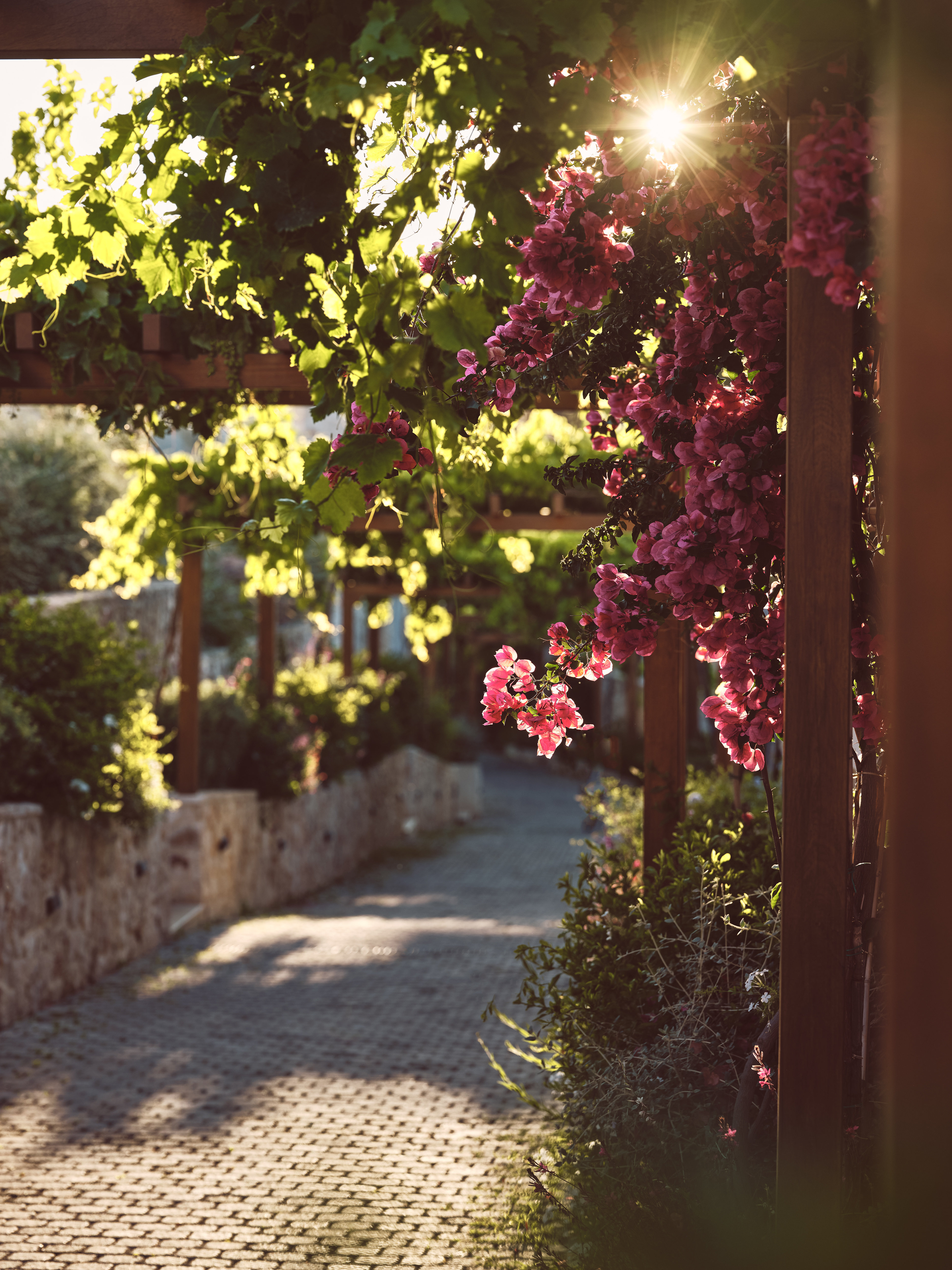 Lesante Cape Resort & Villas 43/50