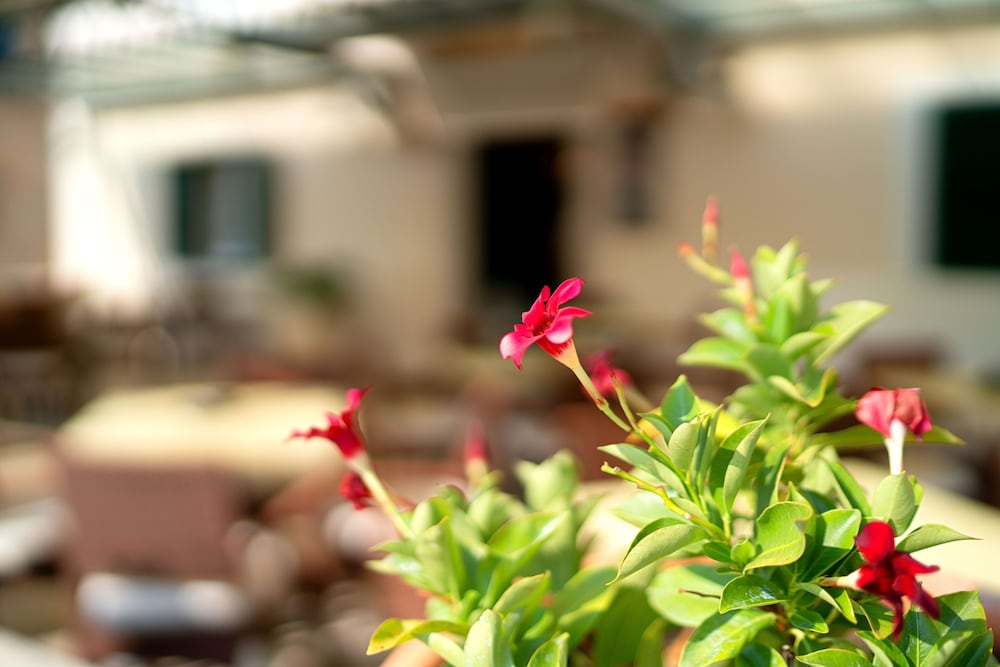 Heritage Hotel Tisno in TISNO