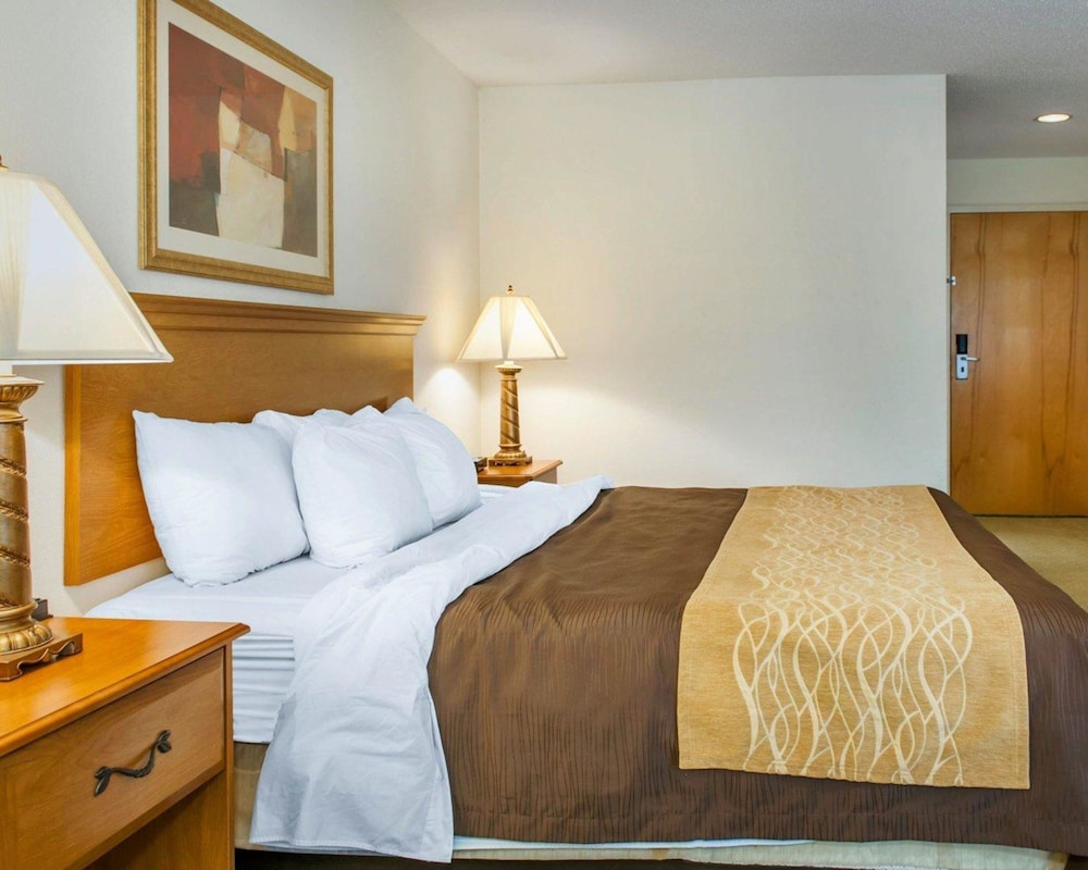 Quality Inn & Suites Near Amish Country 35/53
