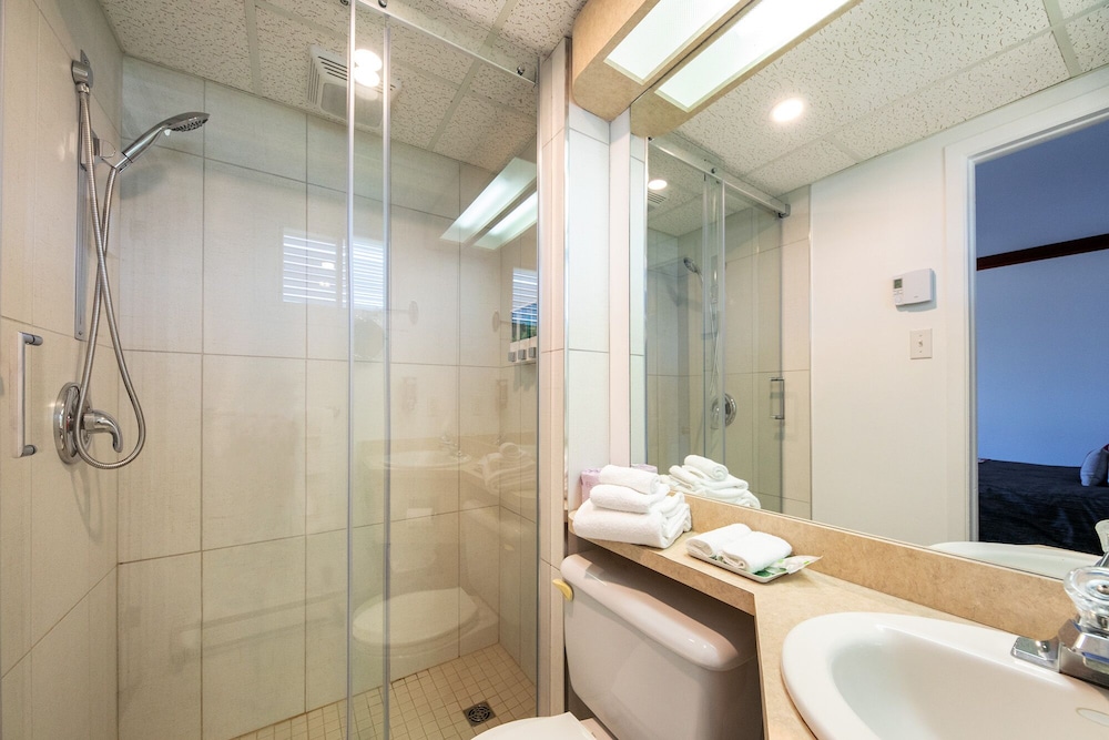 غرفة قياسية بسرير كوين مع أريكة، Hotel Plante 4/6