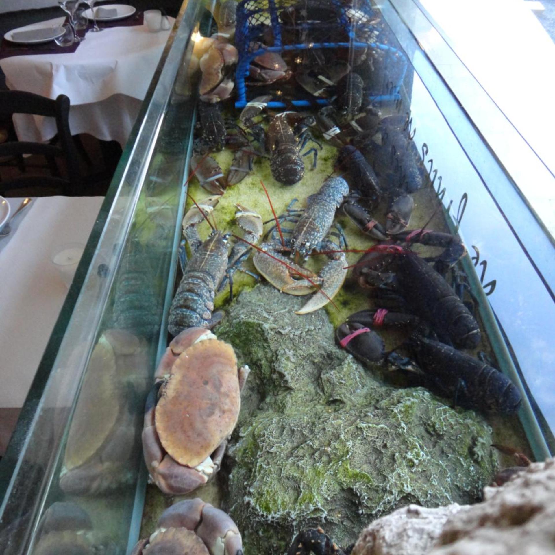 HOTEL LES CHARDONS BLEUS REST LE BISTROT DE LA MER 4/52
