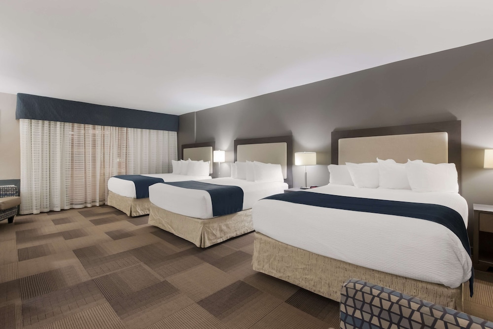 Standard, 3 Queen Beds