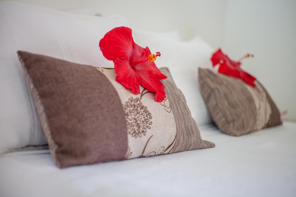 Easter Island Eco Lodge Ex Hotel Rapa Nui 34/75