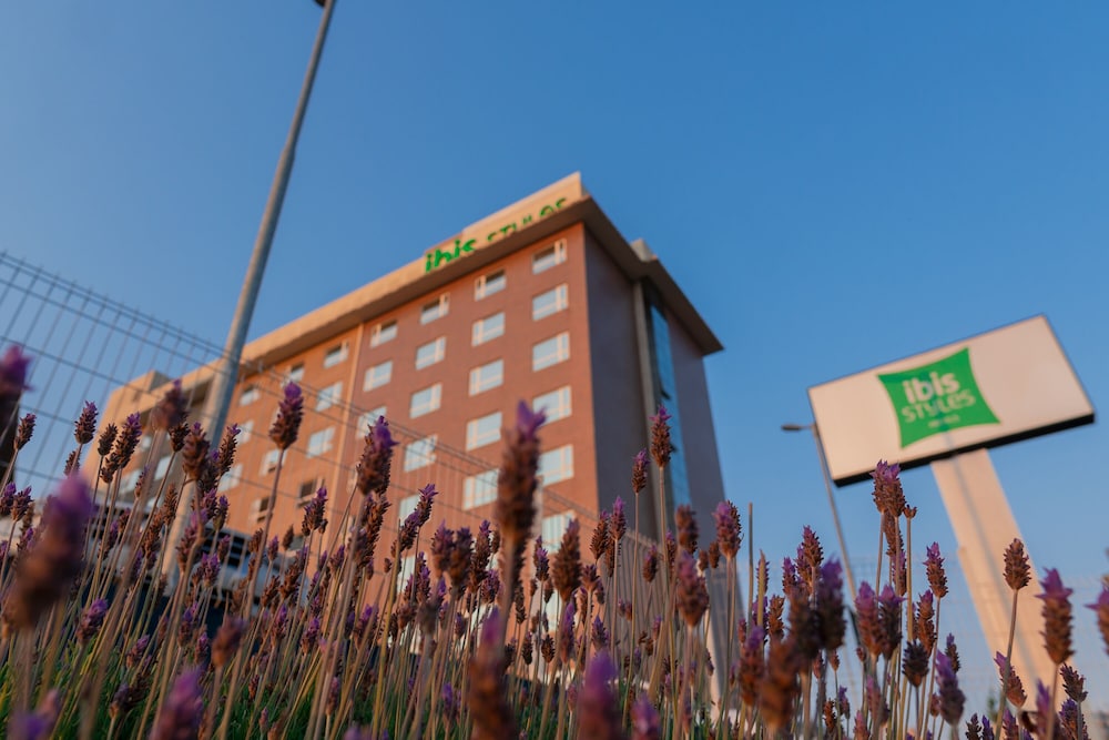 Ibis Styles Curitiba Airport Hotel 2/48
