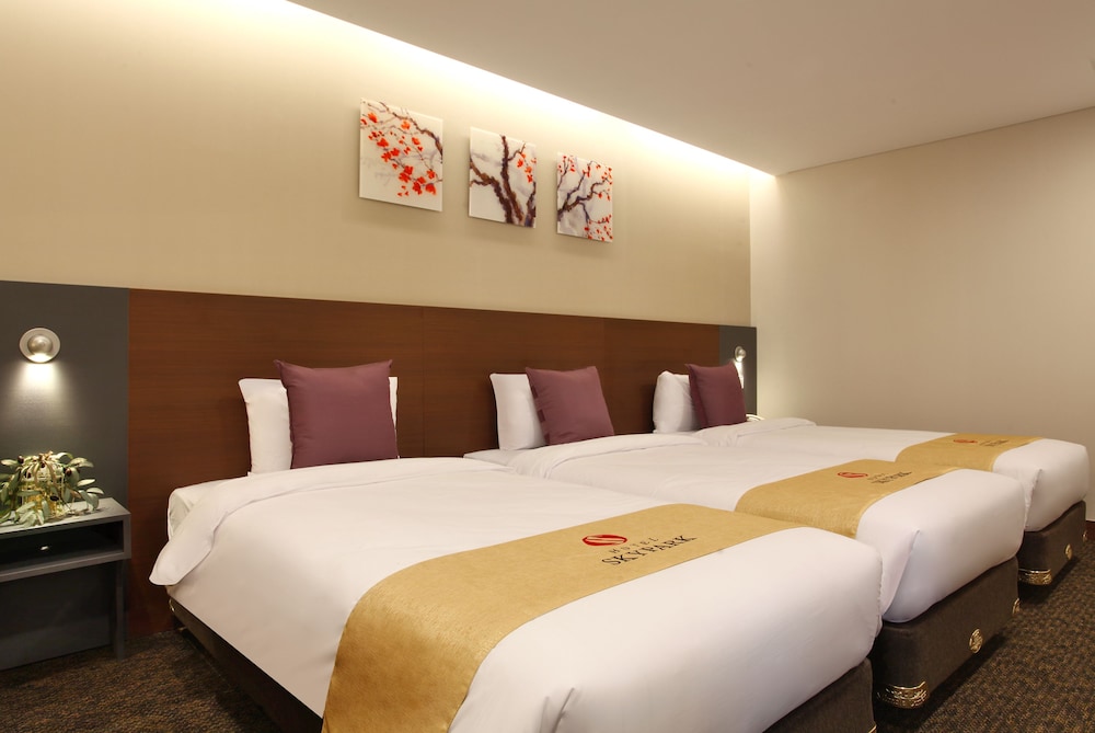 HOTEL SKYPARK KINGSTOWN DONGDAEMUN 34/73