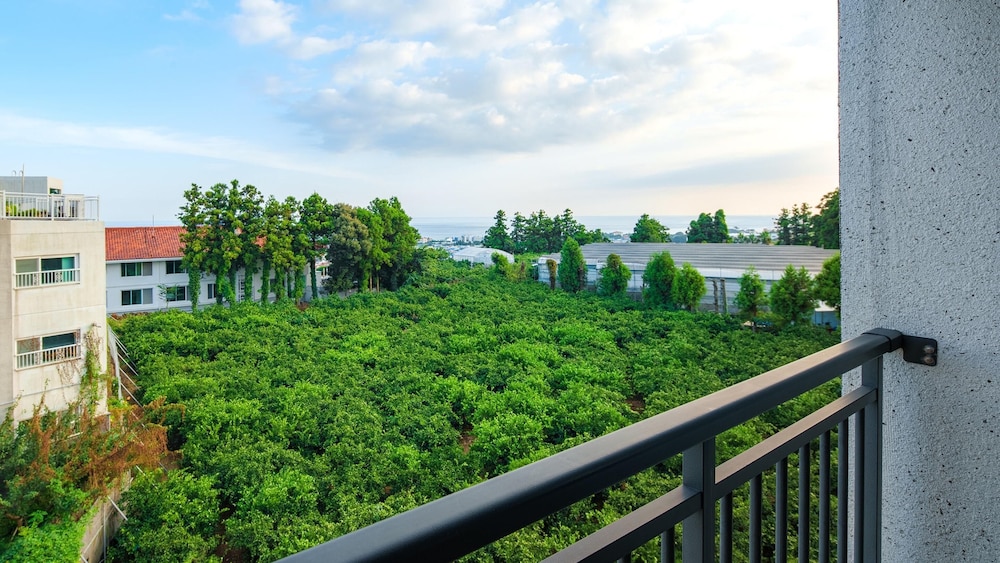 Jeju Inhouse Pension 46/53