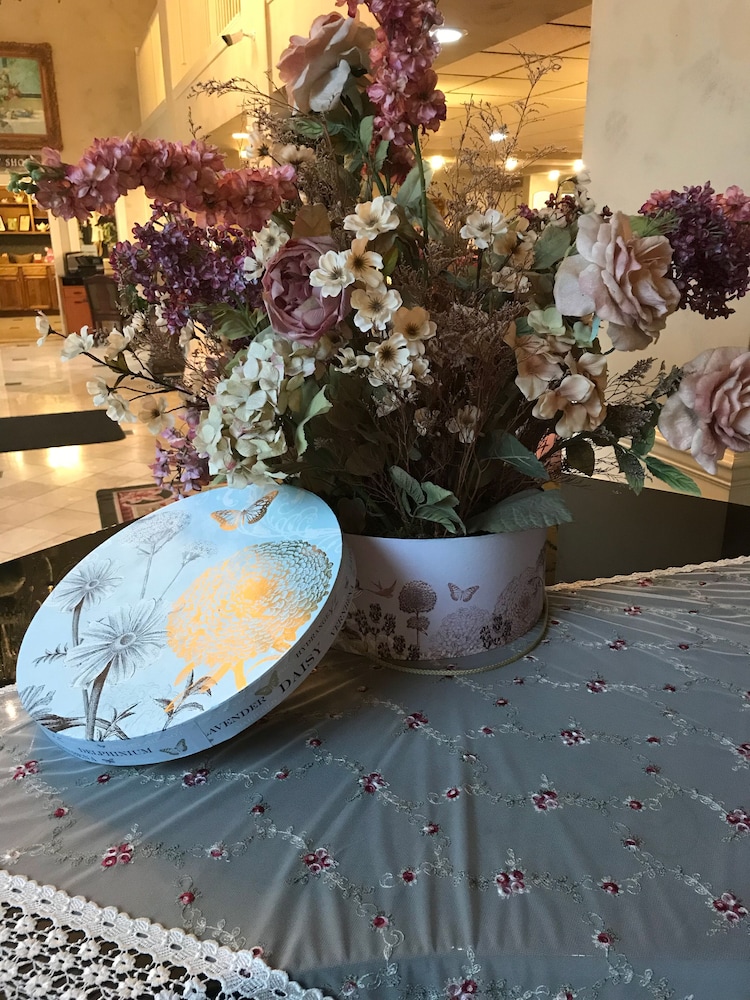 Hotel Grand Victorian 29/35