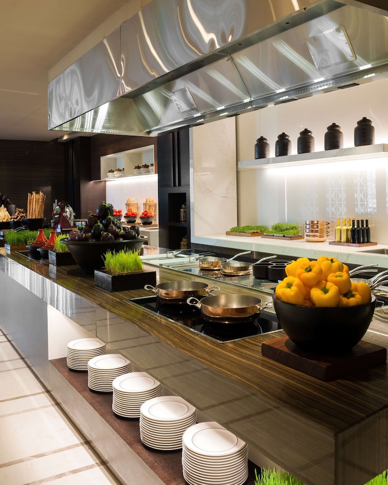 Hyatt Regency Delhi 35/72