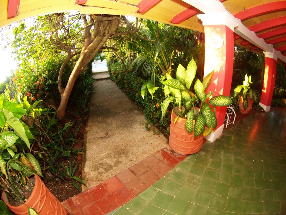 Los Flamingos Hotel 33/47