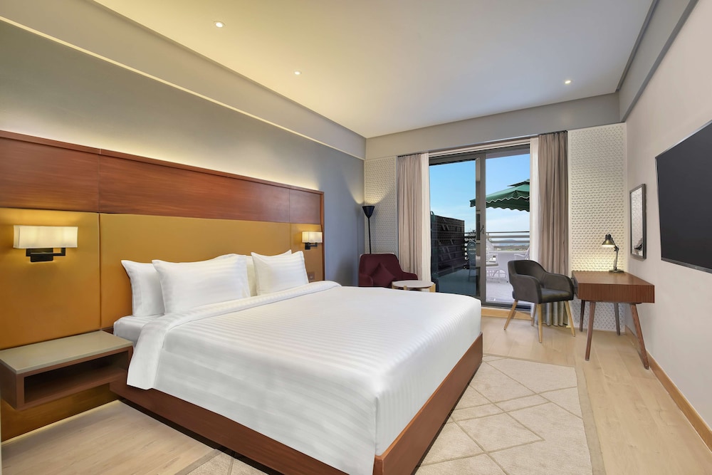 Radisson Hotel Nathdwara 11/46