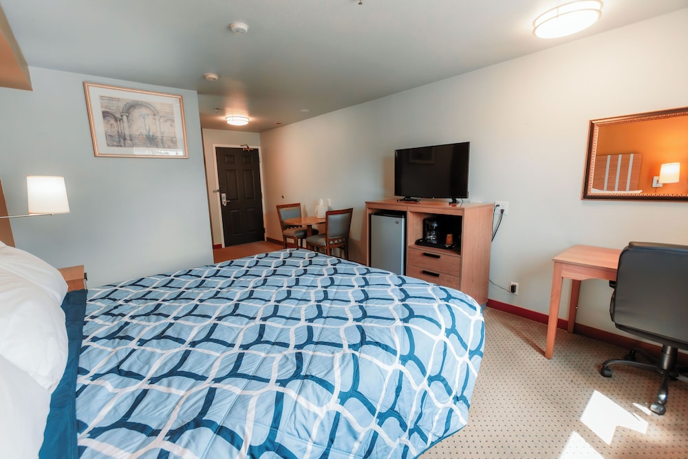 Bay City Motor Inn 25/67