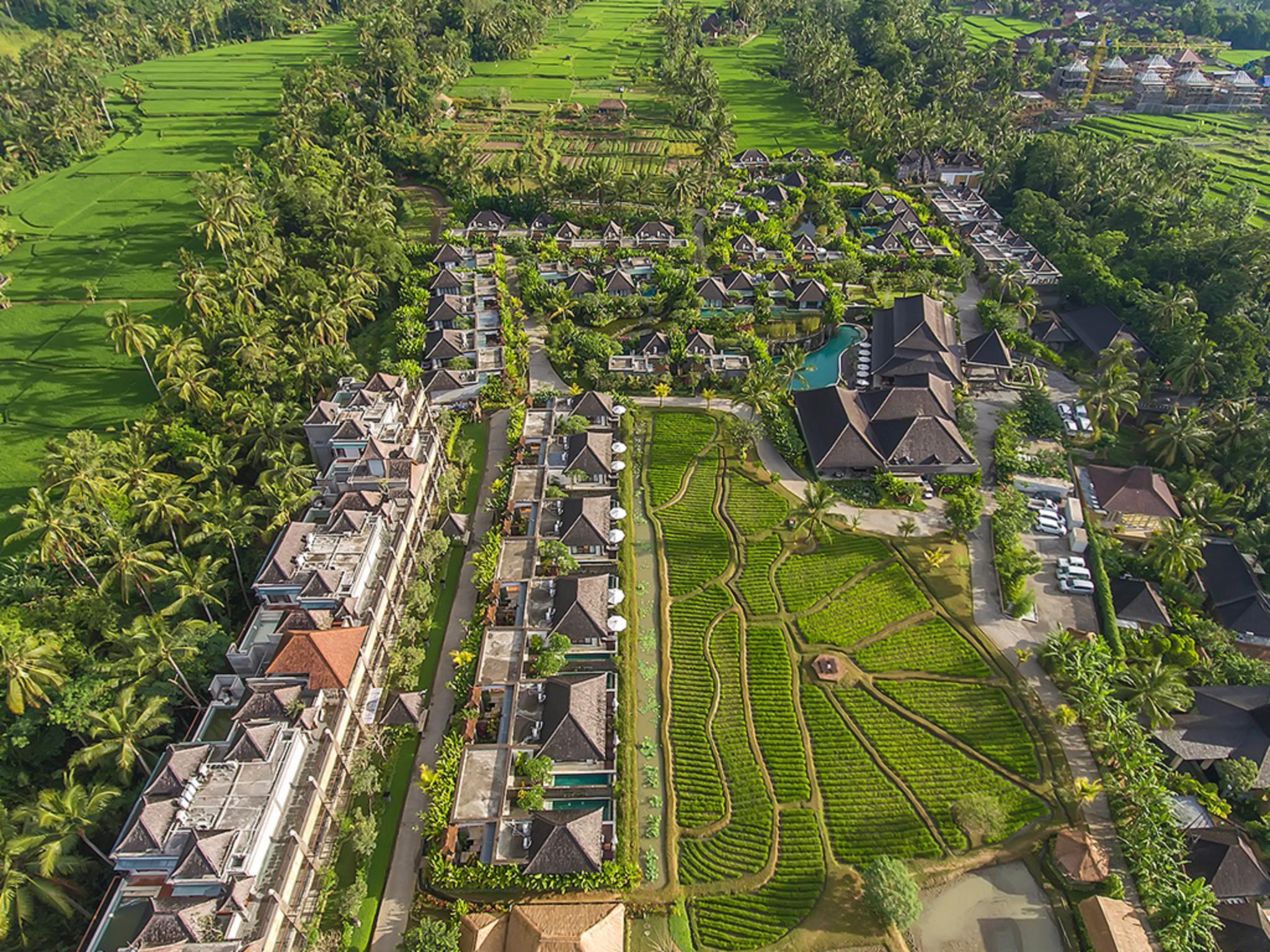 Visesa Ubud Villa and Resort, Bali