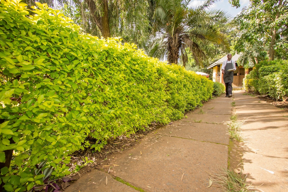Engo Airport Resort Kitale 22/28