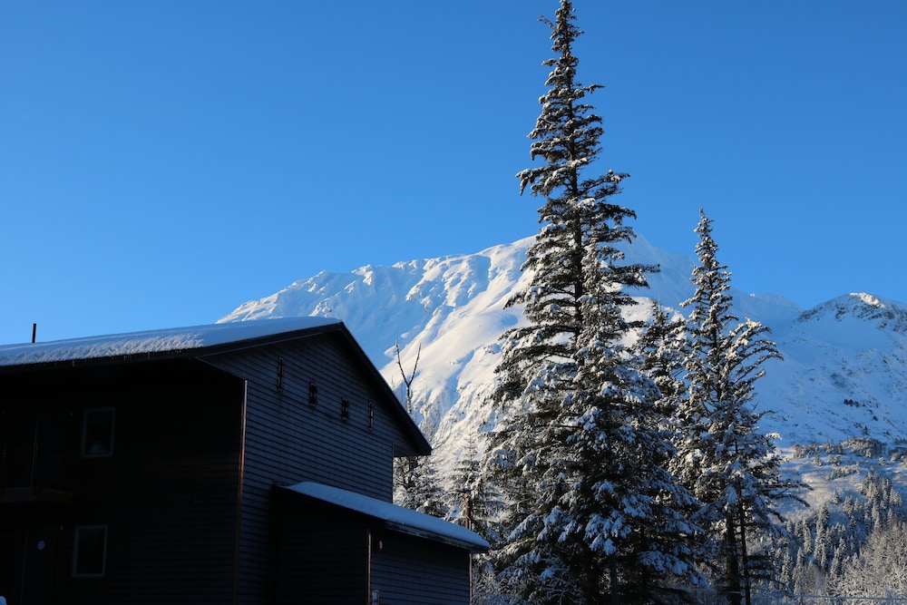 Spruce Lodge 44/49
