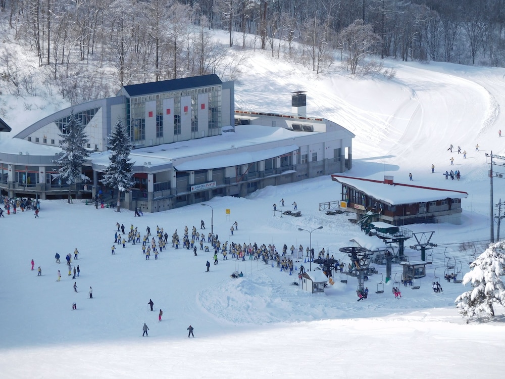 Madarao Elm Pension 7/50