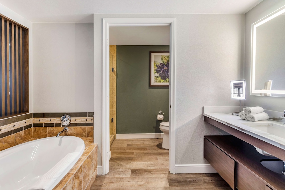 Hilton Grand Vacations Club Flamingo Las Vegas 13/37
