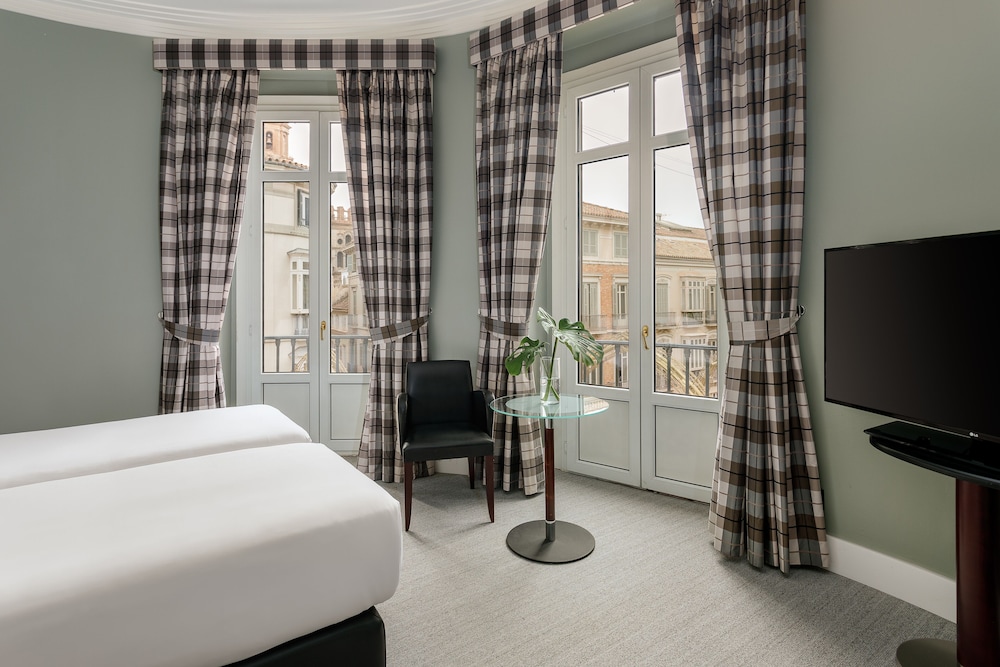 Hotel Larios Malaga 25/66