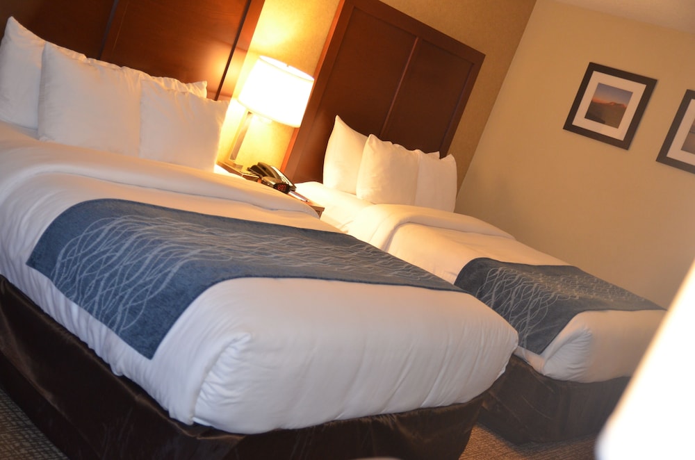 Comfort Inn & Suites Vancouver Downtown City Center 15/48