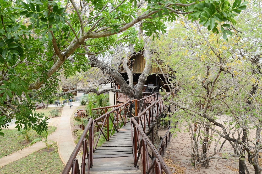 Pezulu Tree House Lodge 38/50