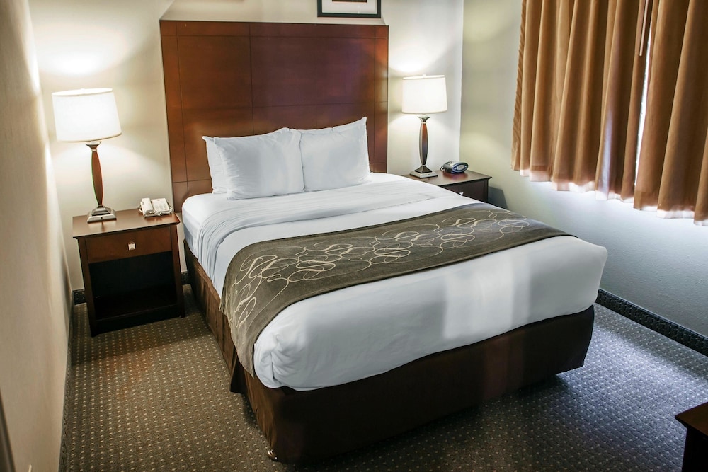 Comfort Suites Elgin Northwest 17/48