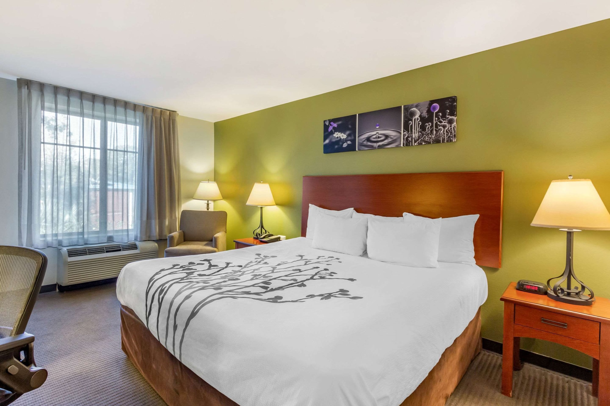 SUITE, KING BED, ACCESSIBLE
