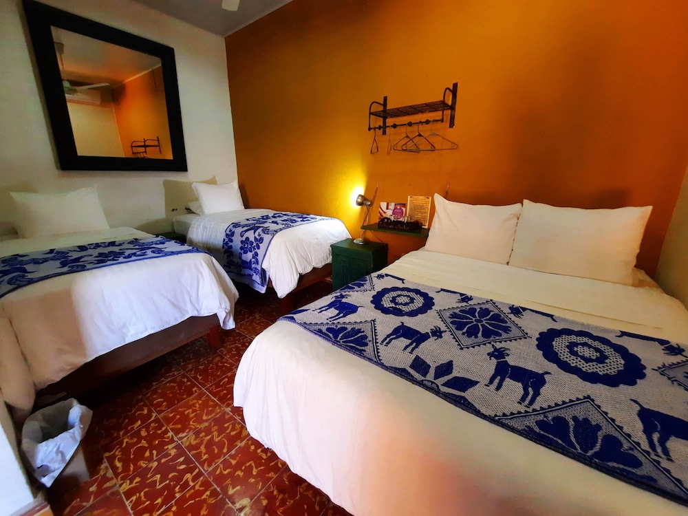 Hotel La Posada Del Doctor 20/65